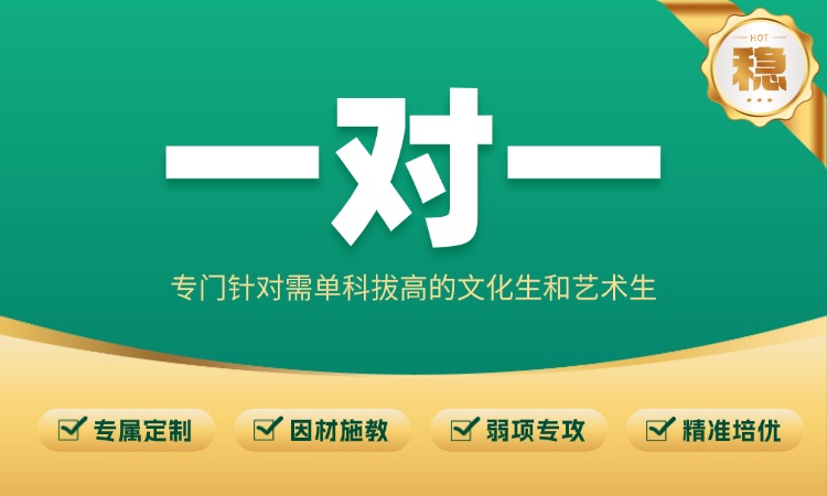 高中全阶段文化课一对一
